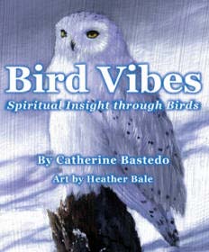 Bird Vibes Cards